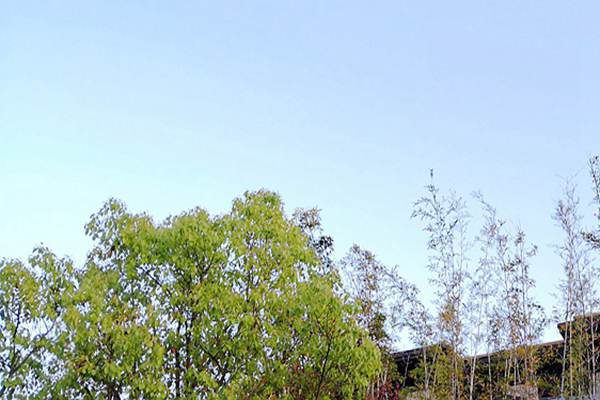 廢氣治理＋綠色運輸！安徽省第三生態(tài)環(huán)境保護督察組調(diào)研阜陽空氣質(zhì)量提升攻堅 