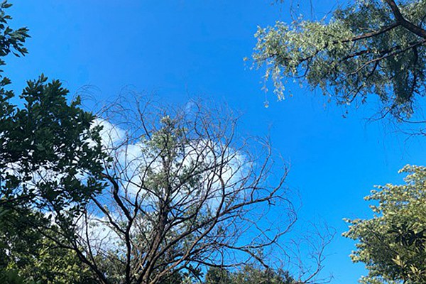 筑牢“真準全”數據基石，數智賦能打贏藍天保衛(wèi)戰(zhàn) 