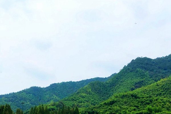 安徽省宣城市步步落實層層推進“大氣攻堅戰(zhàn)”  